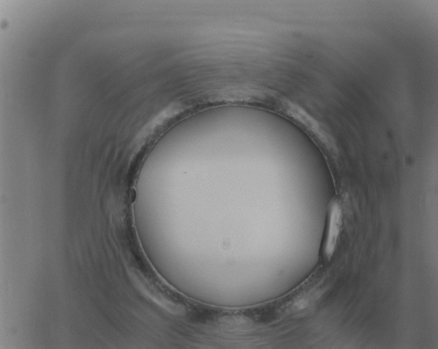 X0000062850203200601272050