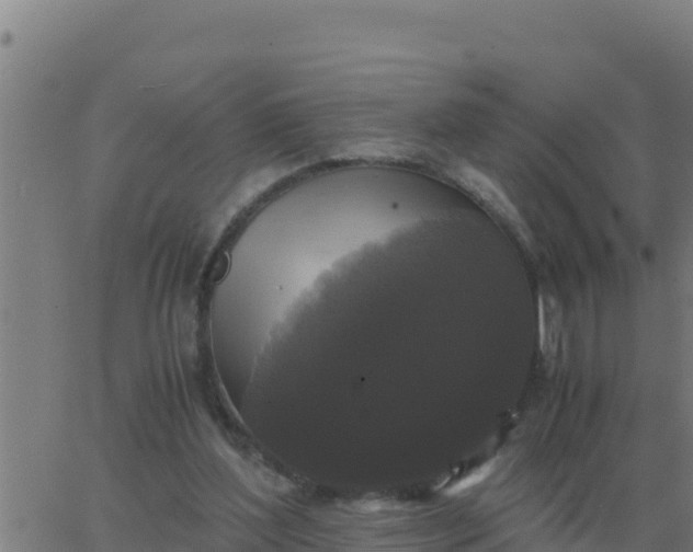 X0000062850204200601272050