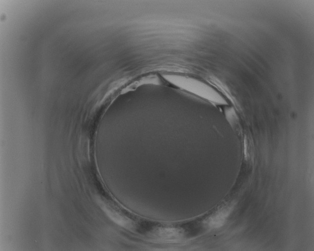 X0000062850205200601272050