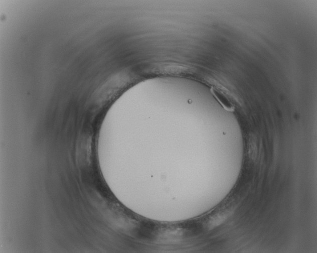 X0000062850206200601272050