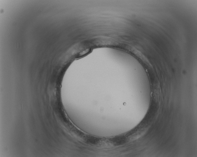 X0000062850207200601272049