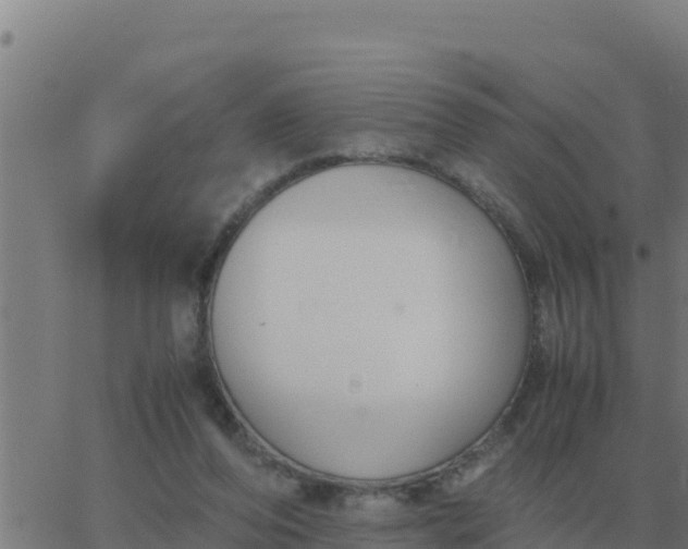 X0000062850208200601272049