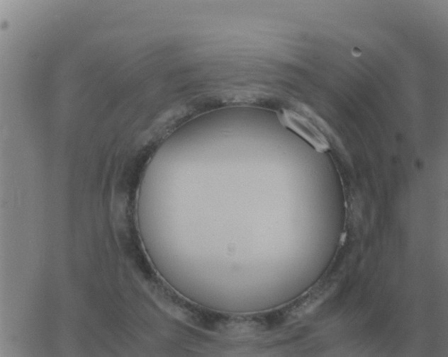 X0000062850209200601272049