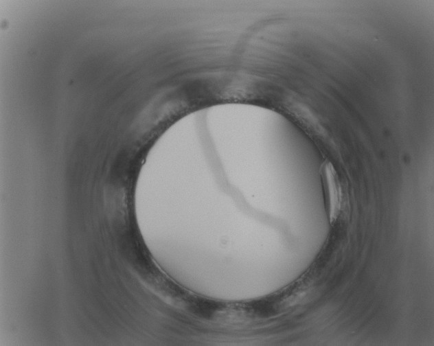 X0000062850211200601272049