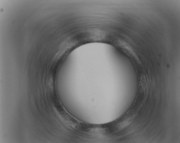 X0000062850212200601272049