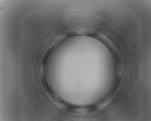 X0000062850213200601272049