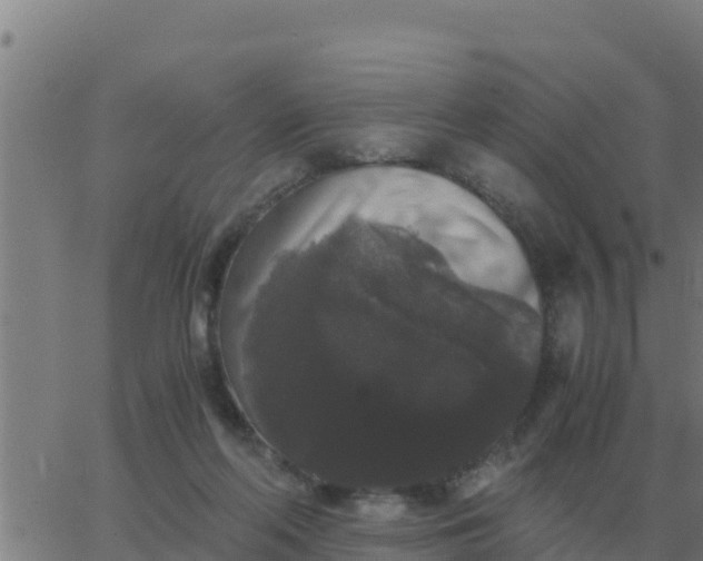 X0000062850214200601272049