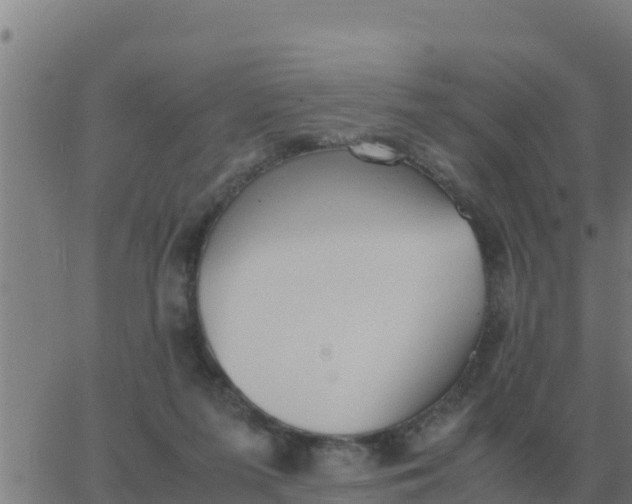 X0000062850215200601272049