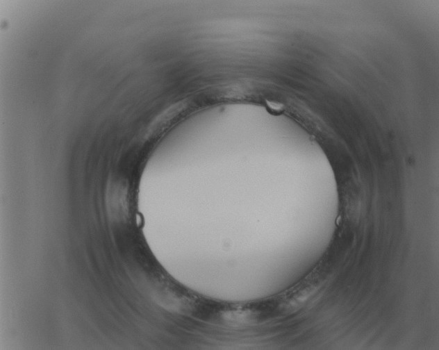 X0000062850216200601272049