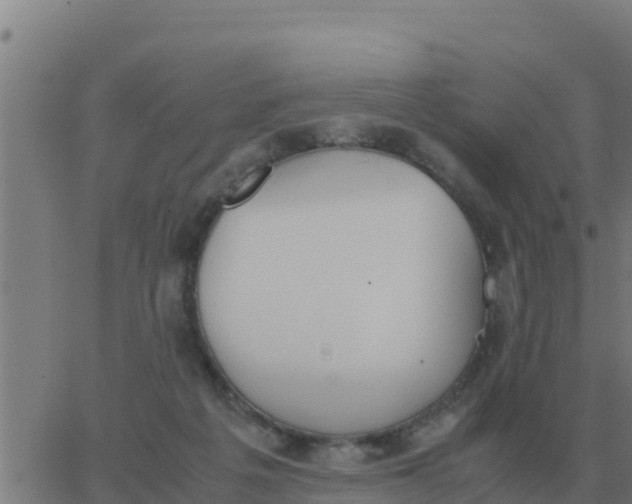 X0000062850217200601272049