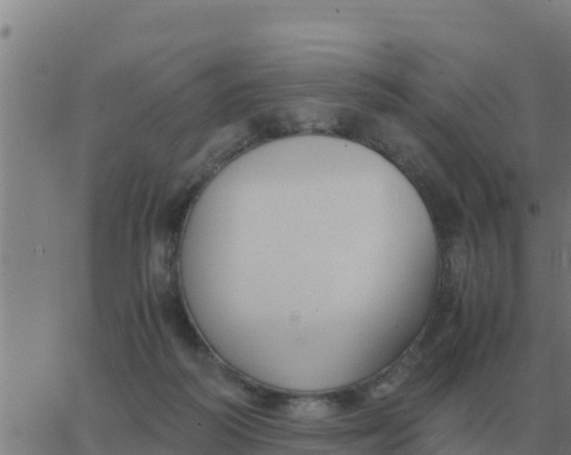 X0000062850218200601272049