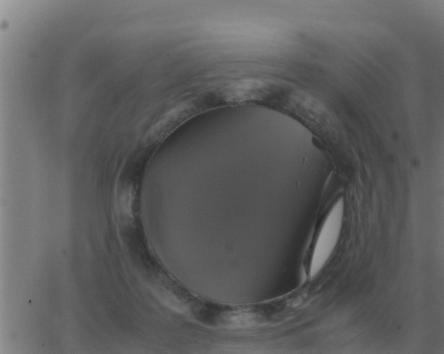 X0000062850219200601272049