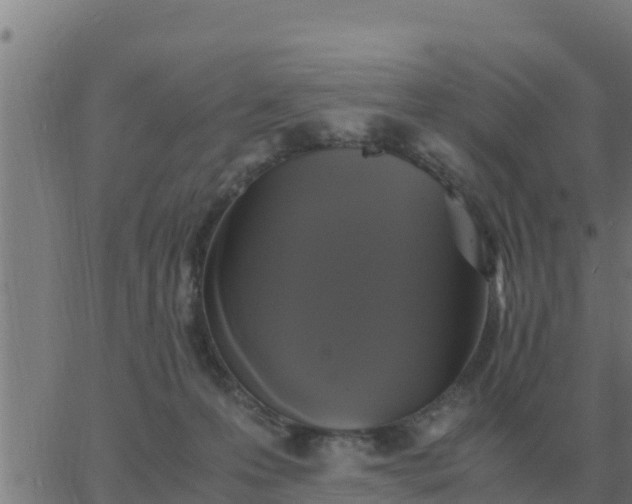 X0000062850223200601272049