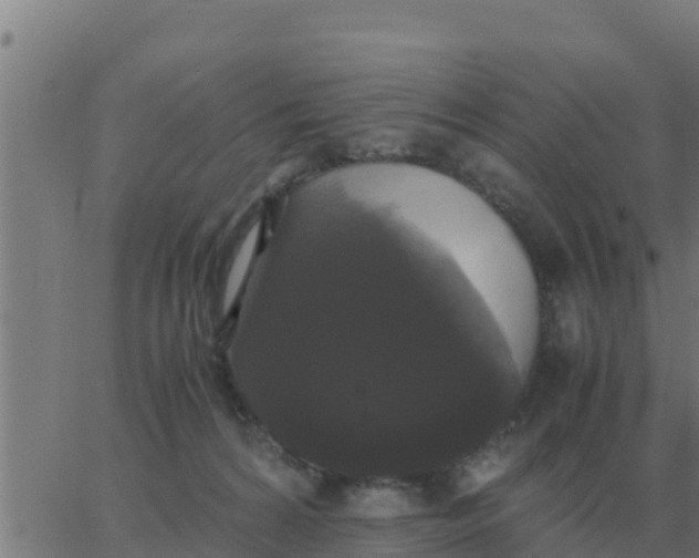 X0000062850224200601272049