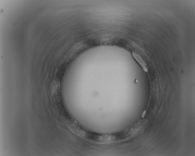 X0000062850225200601272049