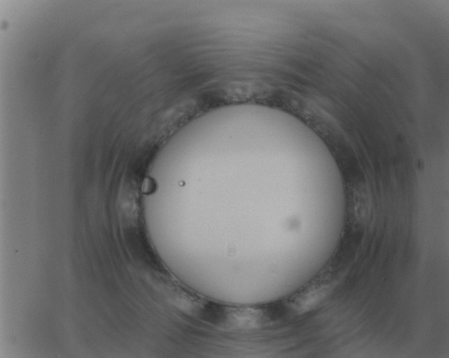 X0000062850226200601272049