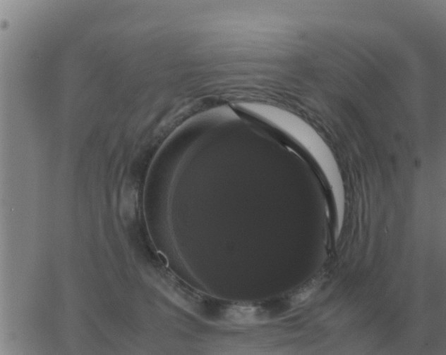 X0000062850227200601272049