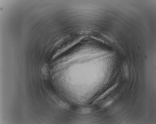 X0000062850228200601272049