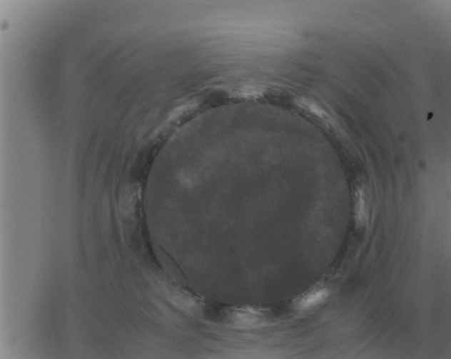 X0000062850229200601272049