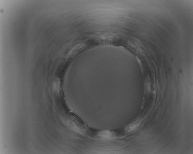 X0000062850231200601272049