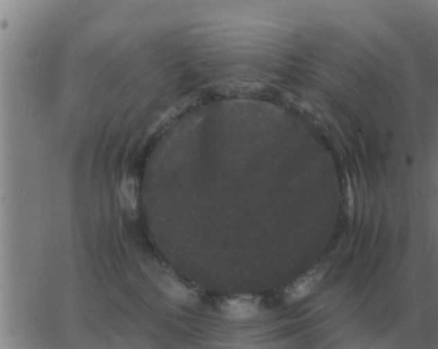 X0000062850232200601272049