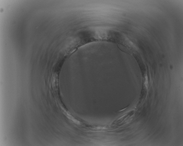 X0000062850233200601272049