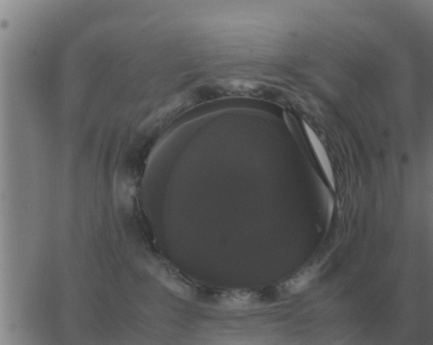 X0000062850235200601272049