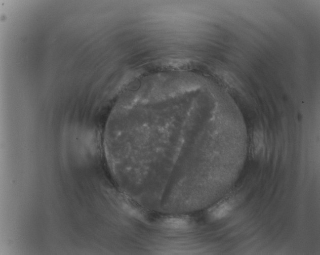 X0000062850236200601272049