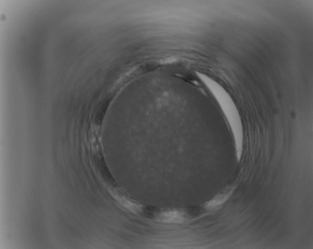 X0000062850237200601272049