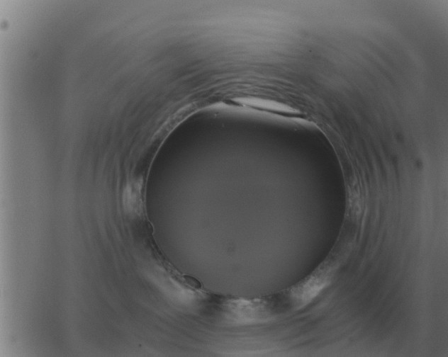 X0000062850239200601272049