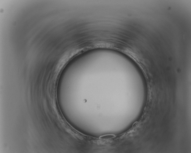 X0000062850241200601272048