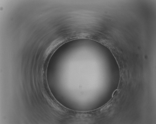 X0000062850242200601272048