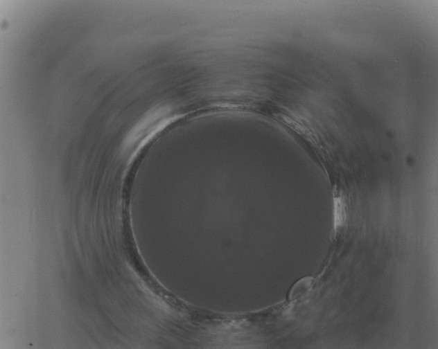 X0000062850243200601272048