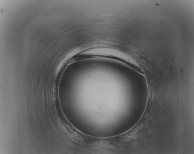 X0000062850244200601272048