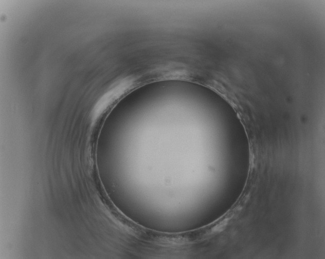 X0000062850245200601272048