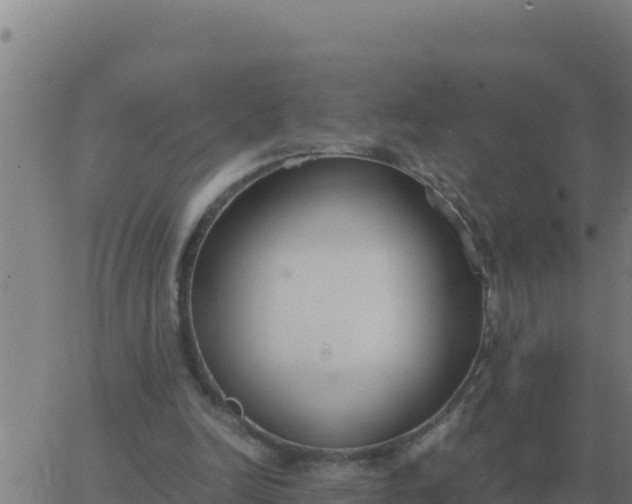 X0000062850246200601272048