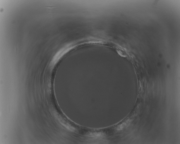 X0000062850247200601272048