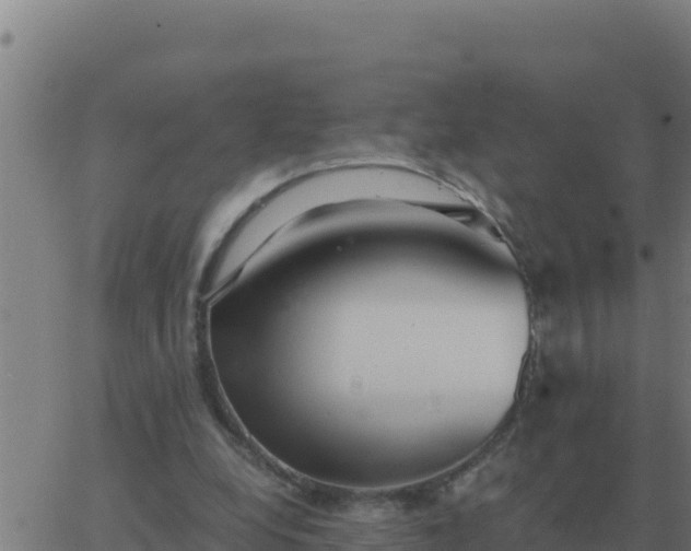 X0000062850248200601272048