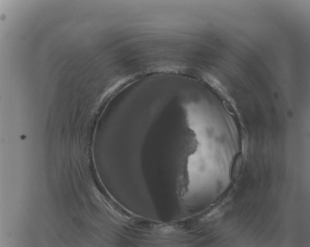 X0000062850249200601272048