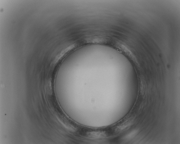 X0000062850251200601272048