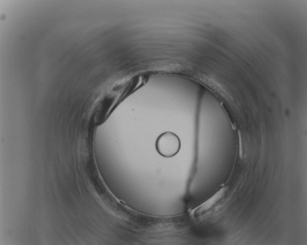 X0000062850252200601272048