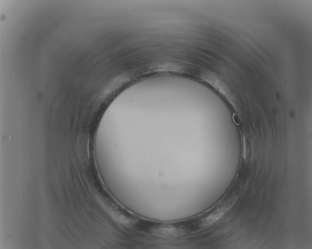 X0000062850253200601272048