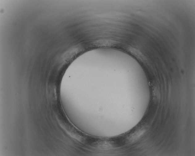 X0000062850254200601272048