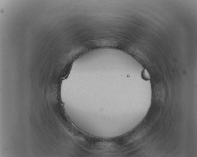 X0000062850255200601272048