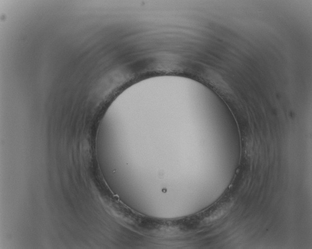 X0000062850256200601272048