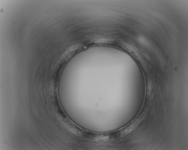 X0000062850257200601272048