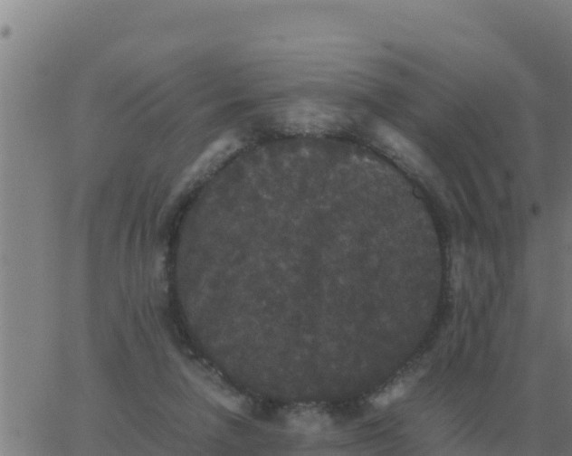 X0000062850258200601272048