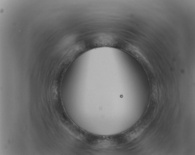 X0000062850259200601272048