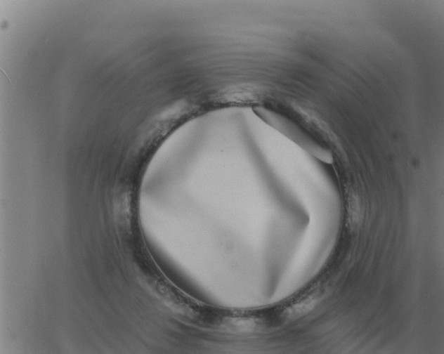 X0000062850260200601272048