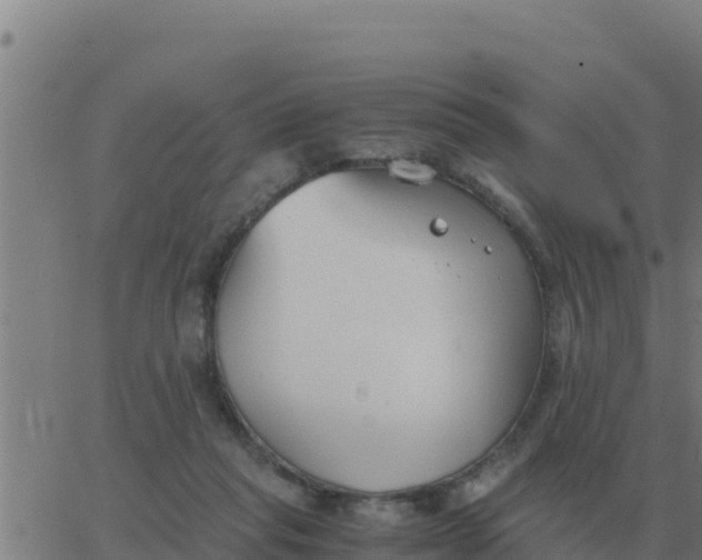 X0000062850261200601272049